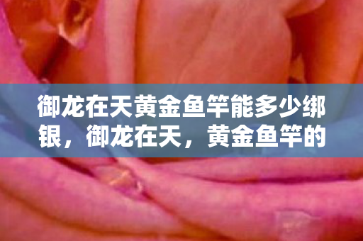 御龙在天黄金鱼竿能多少绑银,御龙在天,黄金鱼竿的神秘魅力 御龙在天黄金鱼竿能多少绑银,御龙在天,黄金鱼竿的神秘魅力