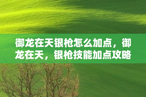 御龙在天银枪怎么加点,御龙在天,银枪技能加点攻略图解 御龙在天银枪怎么加点,御龙在天,银枪技能加点攻略图解