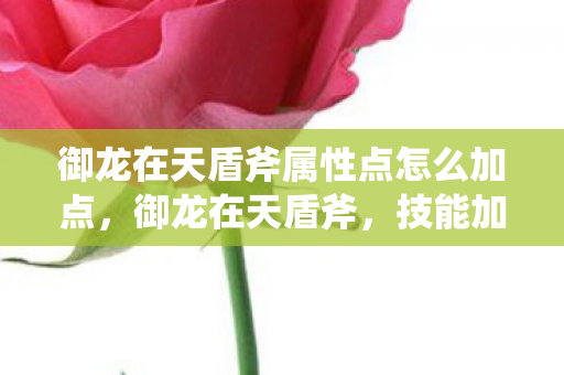 御龙在天盾斧属性点怎么加点，御龙在天盾斧，技能加点攻略与实战运用解析