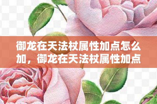 御龙在天法杖属性加点怎么加,御龙在天法杖属性加点攻略 御龙在天法杖属性加点怎么加,御龙在天法杖属性加点攻略