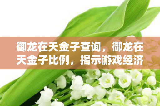 御龙在天金子查询,御龙在天金子比例,揭示游戏经济体系中的秘密 御龙在天金子查询,御龙在天金子比例,揭示游戏经济体系中的秘密