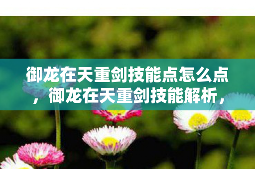 御龙在天重剑技能点怎么点,御龙在天重剑技能解析,威力与策略的结合 御龙在天重剑技能点怎么点,御龙在天重剑技能解析,威力与策略的结合