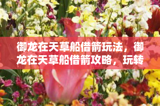 御龙在天草船借箭玩法,御龙在天草船借箭攻略,玩转游戏中的箭矢战术 御龙在天草船借箭玩法,御龙在天草船借箭攻略,玩转游戏中的箭矢战术