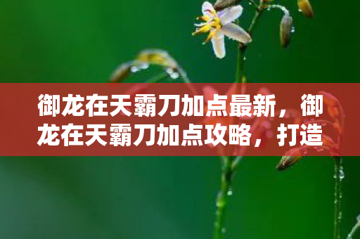 御龙在天霸刀加点最新,御龙在天霸刀加点攻略,打造无敌战神 御龙在天霸刀加点最新,御龙在天霸刀加点攻略,打造无敌战神
