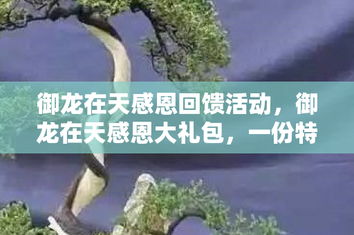 御龙在天感恩回馈活动,御龙在天感恩大礼包,一份特别的回馈与致敬 御龙在天感恩回馈活动,御龙在天感恩大礼包,一份特别的回馈与致敬