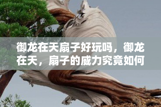 御龙在天扇子好玩吗，御龙在天，扇子的威力究竟如何？