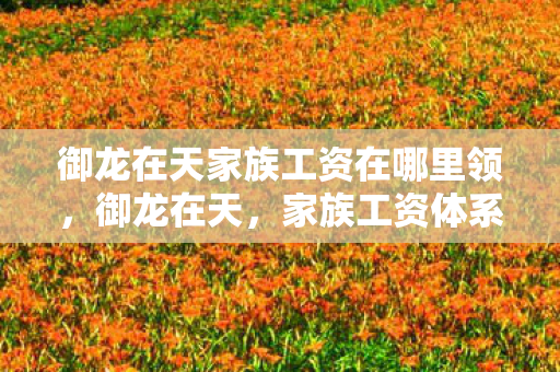 御龙在天家族工资在哪里领,御龙在天,家族工资体系深度解析 御龙在天家族工资在哪里领,御龙在天,家族工资体系深度解析