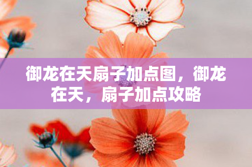 御龙在天扇子加点图，御龙在天，扇子加点攻略