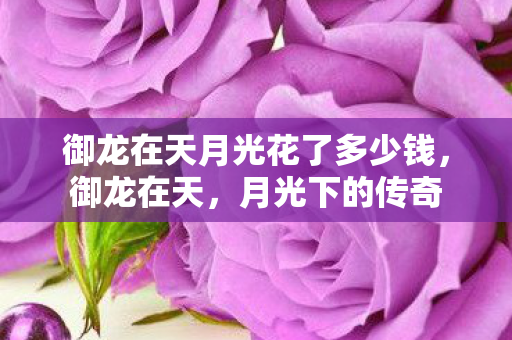 御龙在天月光花了多少钱,御龙在天,月光下的传奇 御龙在天月光花了多少钱,御龙在天,月光下的传奇