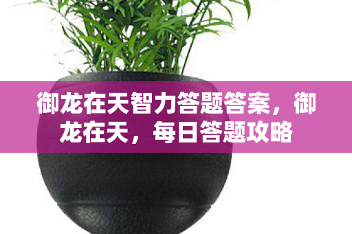御龙在天智力答题答案,御龙在天,每日答题攻略 御龙在天智力答题答案,御龙在天,每日答题攻略