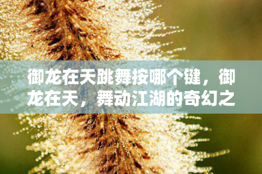 御龙在天跳舞按哪个键，御龙在天，舞动江湖的奇幻之旅