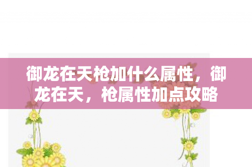 御龙在天枪加什么属性,御龙在天,枪属性加点攻略 御龙在天枪加什么属性,御龙在天,枪属性加点攻略