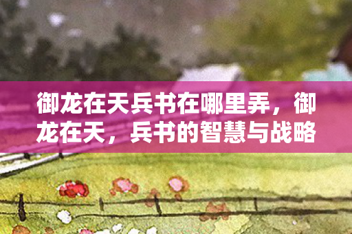 御龙在天兵书在哪里弄，御龙在天，兵书的智慧与战略