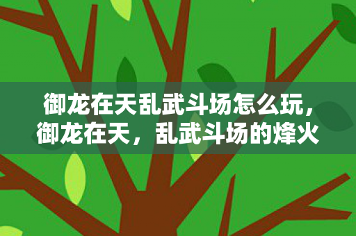 御龙在天乱武斗场怎么玩，御龙在天，乱武斗场的烽火传奇
