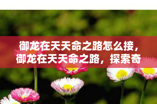 御龙在天天命之路怎么接,御龙在天天命之路,探索奇幻世界的旅程 御龙在天天命之路怎么接,御龙在天天命之路,探索奇幻世界的旅程