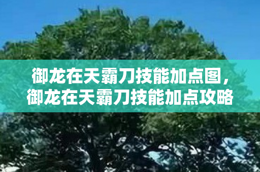 御龙在天霸刀技能加点图,御龙在天霸刀技能加点攻略 御龙在天霸刀技能加点图,御龙在天霸刀技能加点攻略