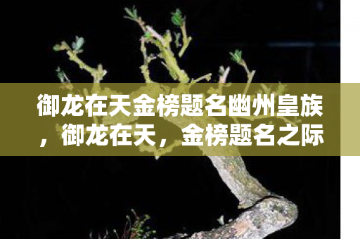 御龙在天金榜题名幽州皇族,御龙在天,金榜题名之际的荣耀与梦想 御龙在天金榜题名幽州皇族,御龙在天,金榜题名之际的荣耀与梦想
