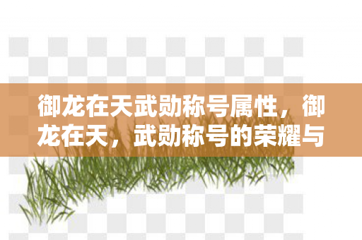 御龙在天武勋称号属性,御龙在天,武勋称号的荣耀与辉煌 御龙在天武勋称号属性,御龙在天,武勋称号的荣耀与辉煌