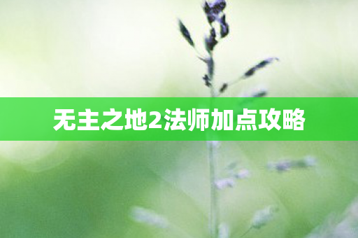 无主之地2法师加点攻略 无主之地2法师加点攻略