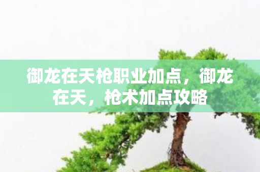 御龙在天枪职业加点，御龙在天，枪术加点攻略