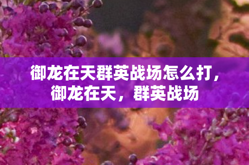 御龙在天群英战场怎么打,御龙在天,群英战场 御龙在天群英战场怎么打,御龙在天,群英战场
