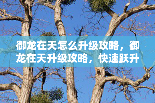 御龙在天怎么升级攻略,御龙在天升级攻略,快速跃升等级巅峰 御龙在天怎么升级攻略,御龙在天升级攻略,快速跃升等级巅峰