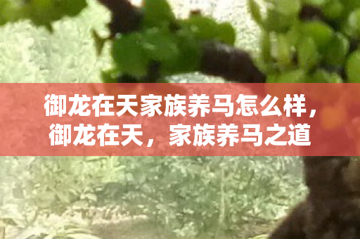 御龙在天家族养马怎么样,御龙在天,家族养马之道 御龙在天家族养马怎么样,御龙在天,家族养马之道