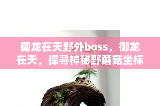 御龙在天野外boss,御龙在天,探寻神秘野蘑菇坐标的冒险之旅 御龙在天野外boss,御龙在天,探寻神秘野蘑菇坐标的冒险之旅
