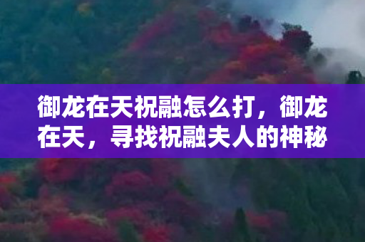 御龙在天祝融怎么打,御龙在天,寻找祝融夫人的神秘坐标 御龙在天祝融怎么打,御龙在天,寻找祝融夫人的神秘坐标