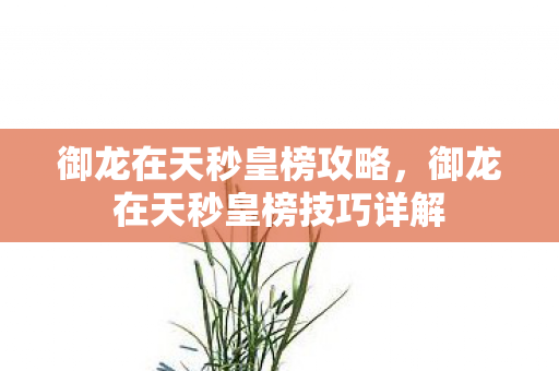 御龙在天秒皇榜攻略,御龙在天秒皇榜技巧详解 御龙在天秒皇榜攻略,御龙在天秒皇榜技巧详解