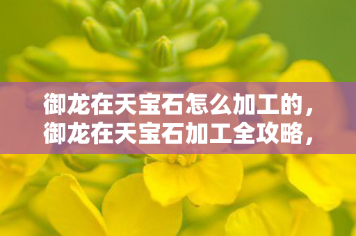 御龙在天宝石怎么加工的，御龙在天宝石加工全攻略，从入门到精通
