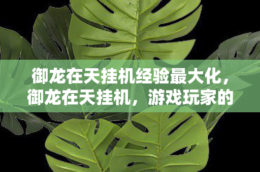 御龙在天挂机经验最大化，御龙在天挂机，游戏玩家的新选择