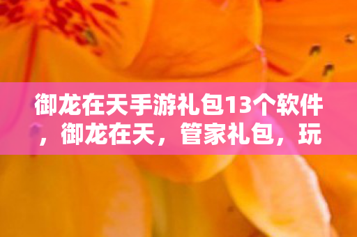 御龙在天手游礼包13个软件,御龙在天,管家礼包,玩家的福音来了! 御龙在天手游礼包13个软件,御龙在天,管家礼包,玩家的福音来了!