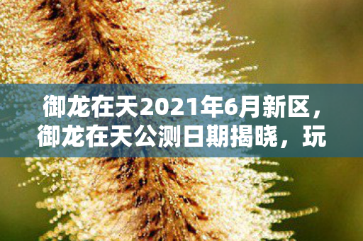 御龙在天2021年6月新区，御龙在天公测日期揭晓，玩家期待已久的新时代来临！