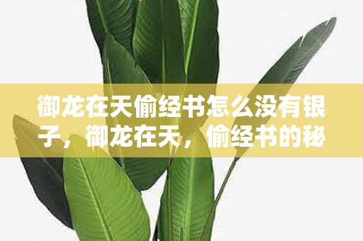 御龙在天偷经书怎么没有银子，御龙在天，偷经书的秘密与传奇