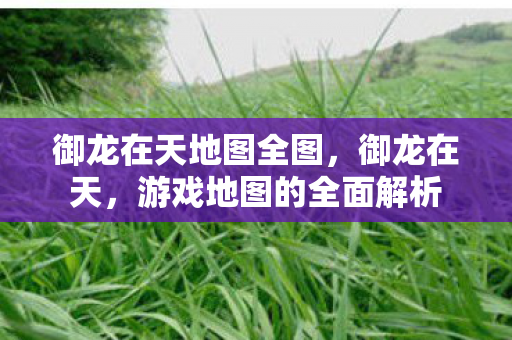 御龙在天地图全图，御龙在天，游戏地图的全面解析