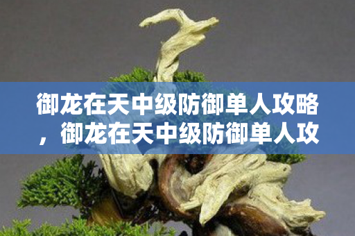 御龙在天中级防御单人攻略,御龙在天中级防御单人攻略 御龙在天中级防御单人攻略,御龙在天中级防御单人攻略