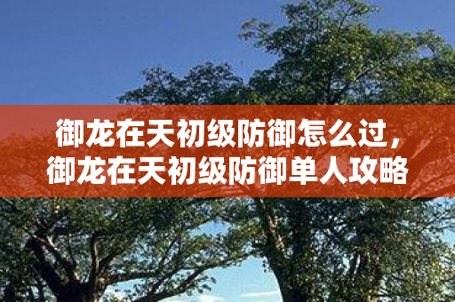 御龙在天初级防御怎么过,御龙在天初级防御单人攻略 御龙在天初级防御怎么过,御龙在天初级防御单人攻略
