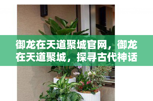 御龙在天道聚城官网,御龙在天道聚城,探寻古代神话中的奇幻世界 御龙在天道聚城官网,御龙在天道聚城,探寻古代神话中的奇幻世界