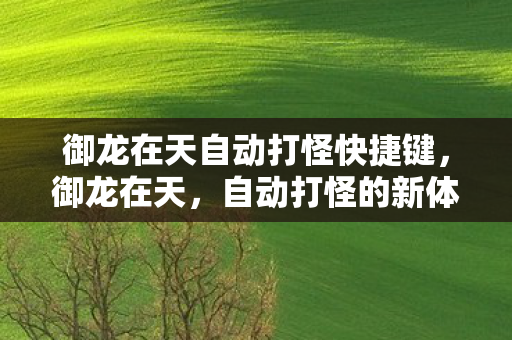 御龙在天自动打怪快捷键,御龙在天,自动打怪的新体验 御龙在天自动打怪快捷键,御龙在天,自动打怪的新体验