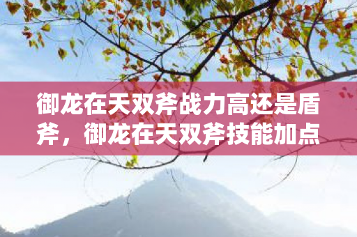 御龙在天双斧战力高还是盾斧,御龙在天双斧技能加点攻略 御龙在天双斧战力高还是盾斧,御龙在天双斧技能加点攻略