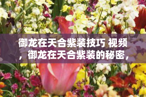 御龙在天合紫装技巧 视频,御龙在天合紫装的秘密,从新手到高手的进阶攻略 御龙在天合紫装技巧 视频,御龙在天合紫装的秘密,从新手到高手的进阶攻略