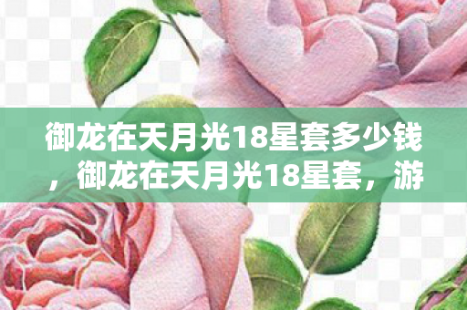 御龙在天月光18星套多少钱，御龙在天月光18星套，游戏世界的璀璨星辰