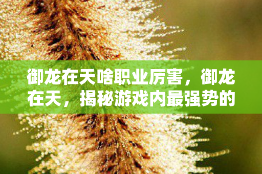 御龙在天啥职业厉害,御龙在天,揭秘游戏内最强势的职业 御龙在天啥职业厉害,御龙在天,揭秘游戏内最强势的职业