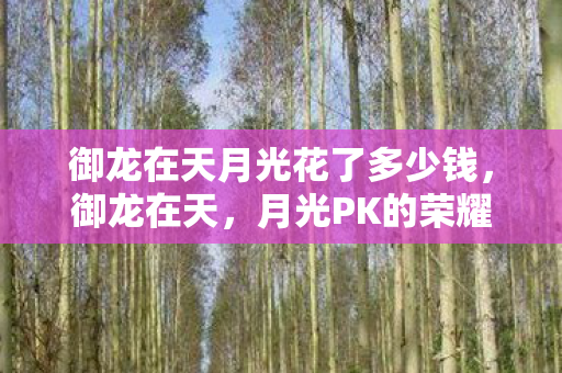 御龙在天月光花了多少钱,御龙在天,月光PK的荣耀时刻 御龙在天月光花了多少钱,御龙在天,月光PK的荣耀时刻