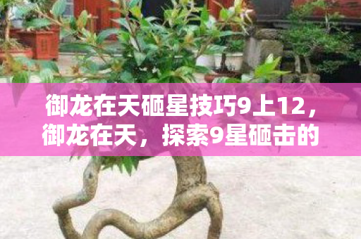 御龙在天砸星技巧9上12,御龙在天,探索9星砸击的秘诀与技巧 御龙在天砸星技巧9上12,御龙在天,探索9星砸击的秘诀与技巧