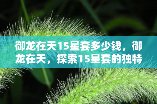 御龙在天15星套多少钱，御龙在天，探索15星套的独特魅力