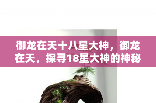 御龙在天十八星大神,御龙在天,探寻18星大神的神秘面纱 御龙在天十八星大神,御龙在天,探寻18星大神的神秘面纱