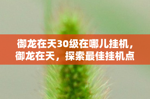御龙在天30级在哪儿挂机，御龙在天，探索最佳挂机点，轻松升级至三十级