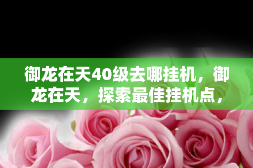 御龙在天40级去哪挂机,御龙在天,探索最佳挂机点,轻松升级至40级 御龙在天40级去哪挂机,御龙在天,探索最佳挂机点,轻松升级至40级